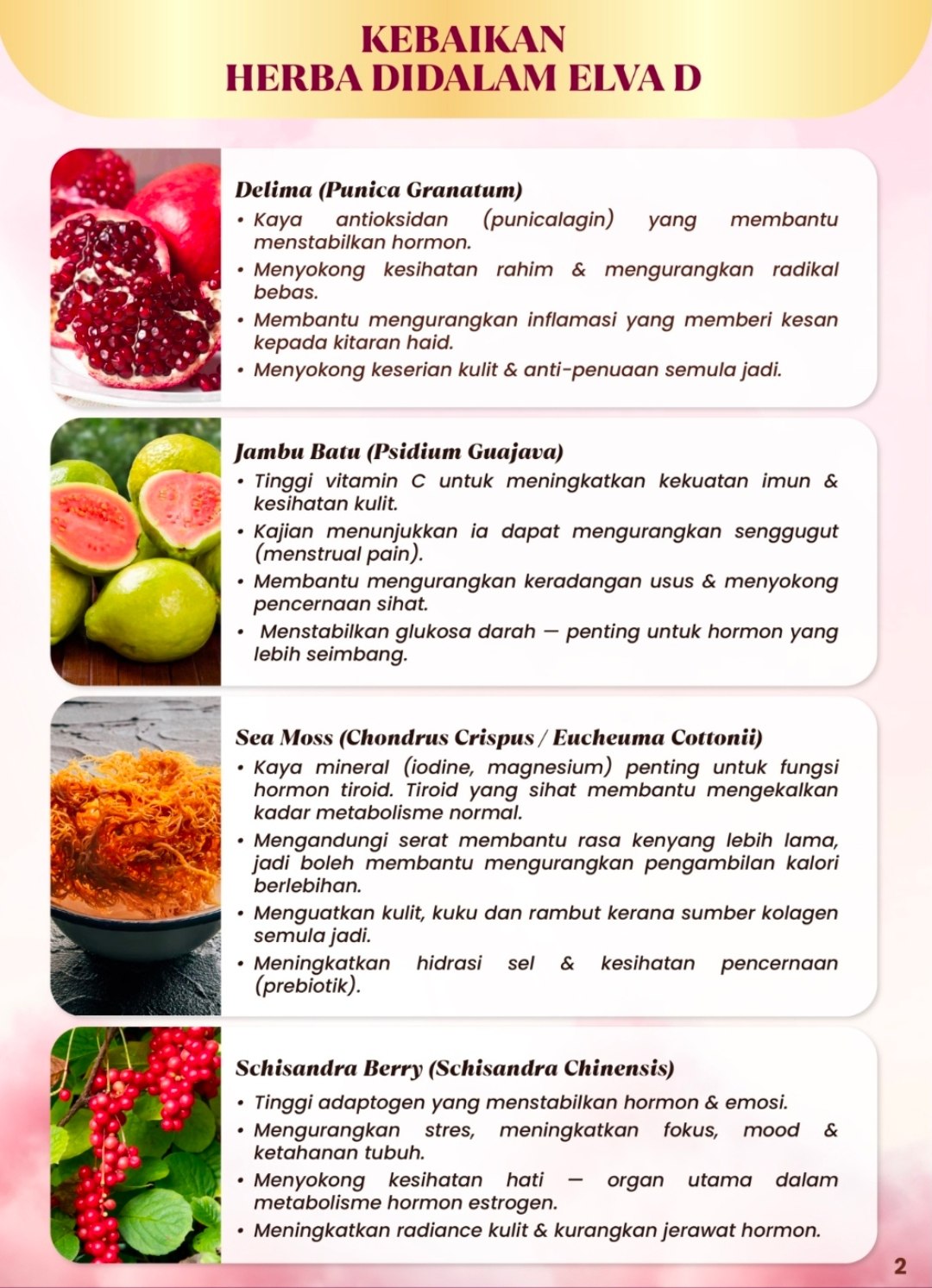 photo_2026-02-03_13-25-58