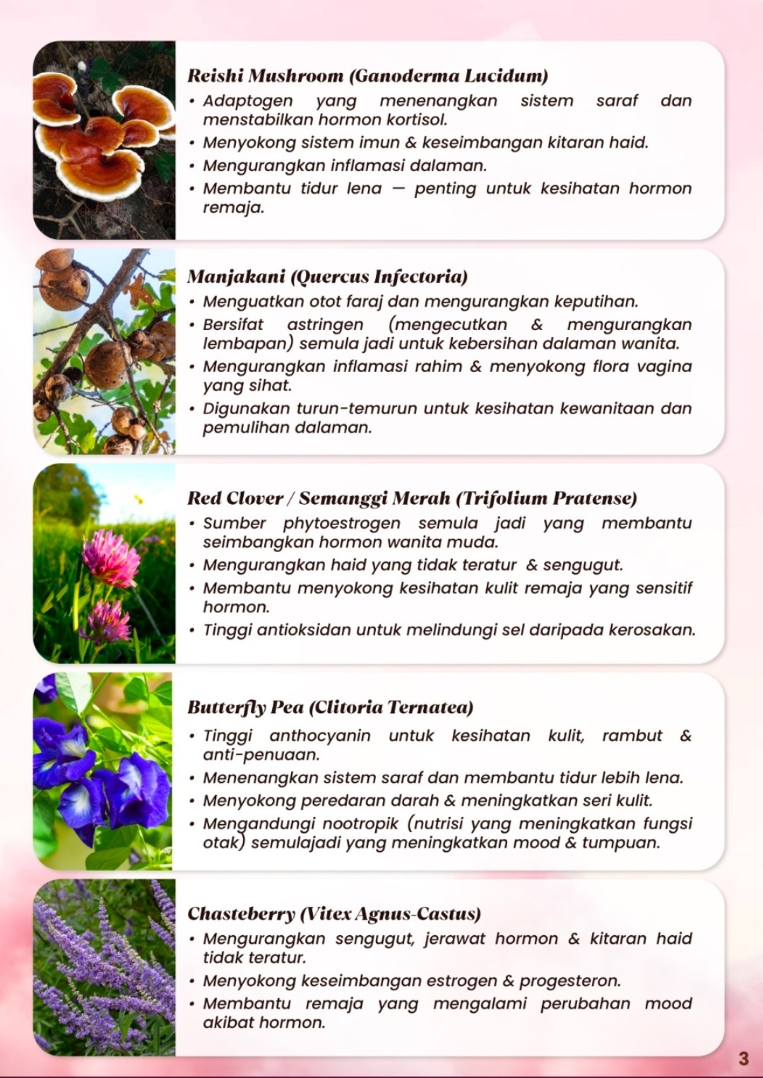 photo_2026-02-03_13-26-02