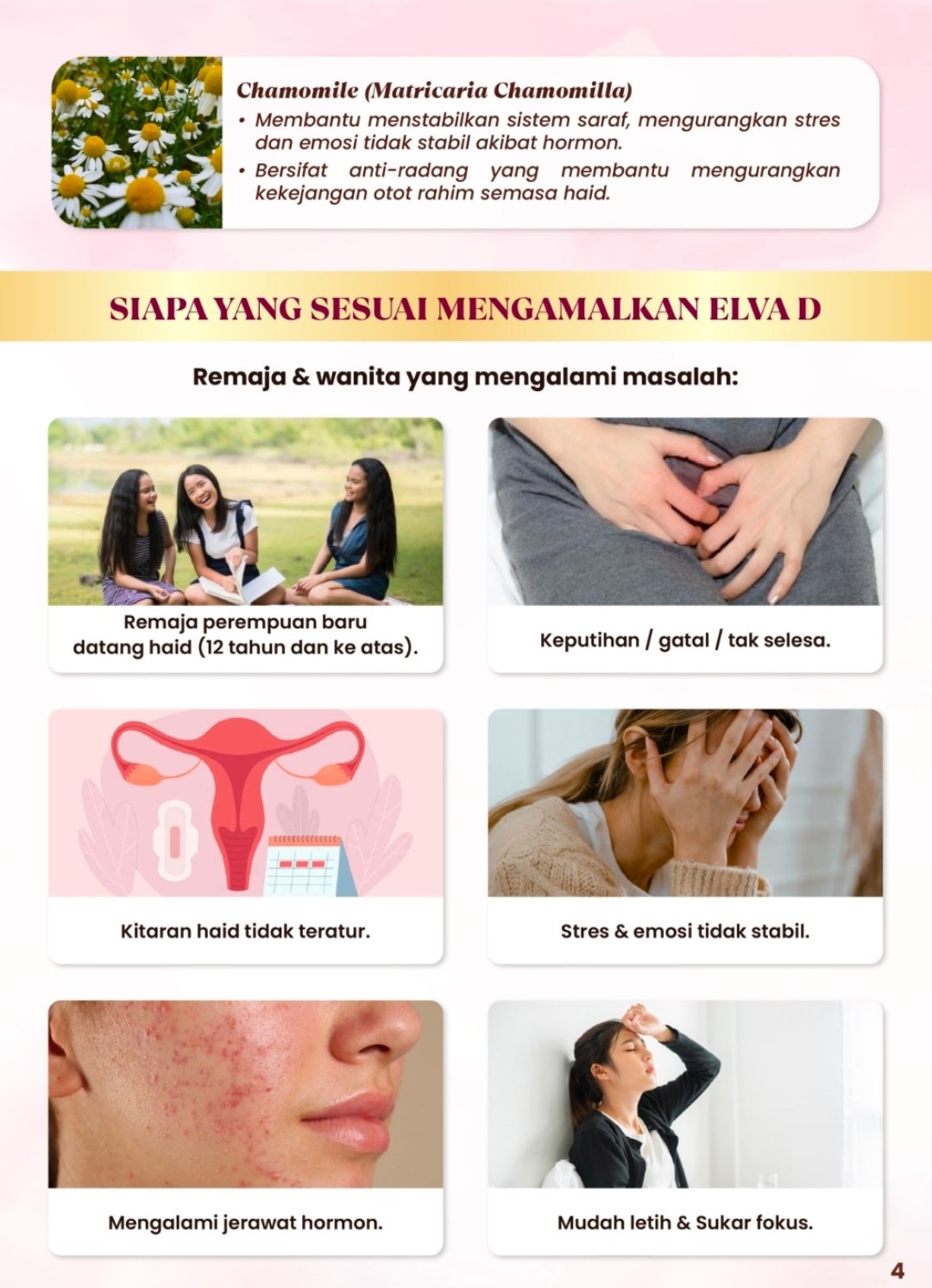 photo_2026-02-03_13-26-05